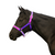 Eurohunter Ombre Halter | Assorted Colours