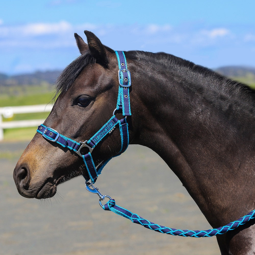 Eurohunter Comfort Halter And Lead Set