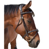 Grainge Fancy Bridle | Raised and Padded