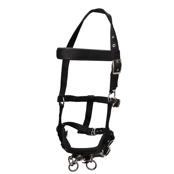 Equi-Prene Anti-Gall Lunging Starter Kit - Hiscocks