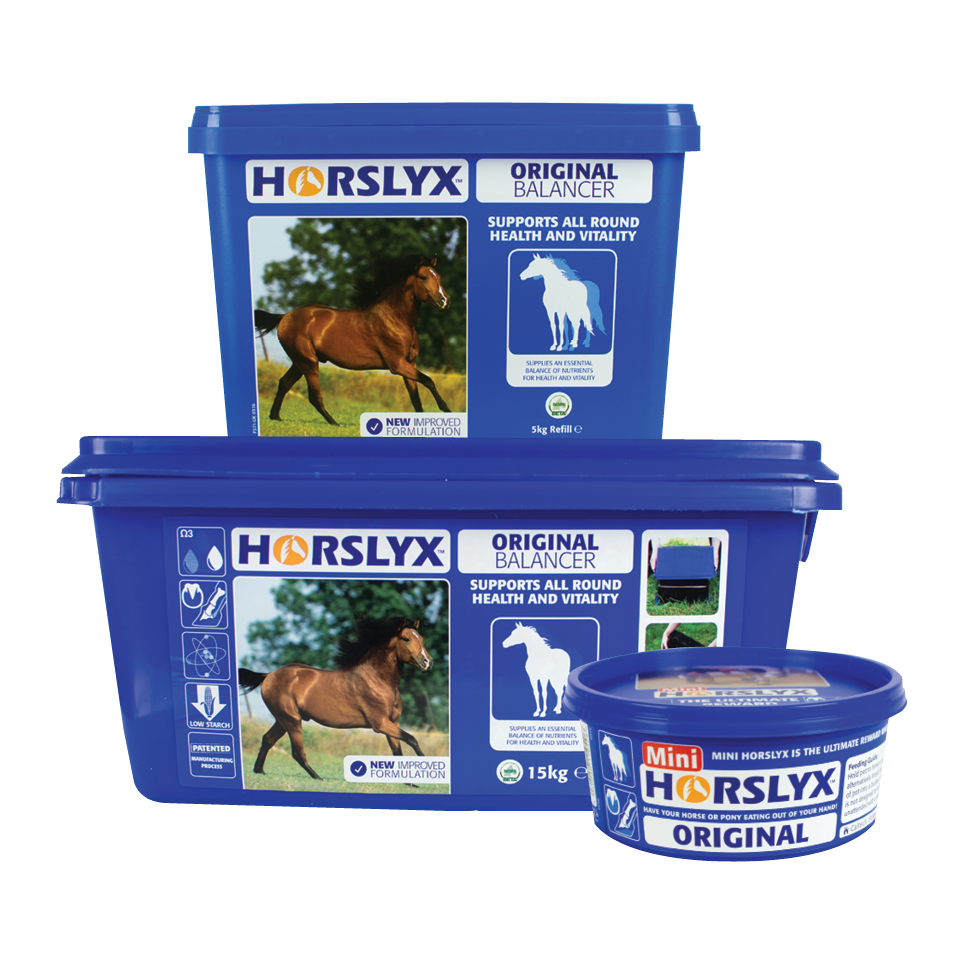 Horslyx Original Balancer Mini Lick 650g