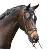 Eurohunter Event Snaffle Bridle