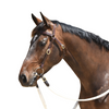 Grainge Elite Barcoo Bridle