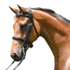 Grainge Elite Dressage Weymouth Bridle