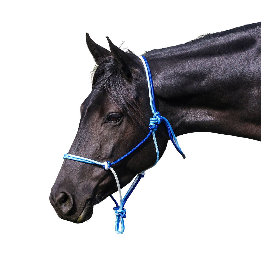 Eurohunter Ombre Rope Halter | Assorted Colours